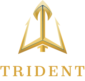 Trident Digital Marketing Agency