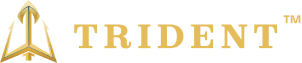 Trident Digital Experts Logo