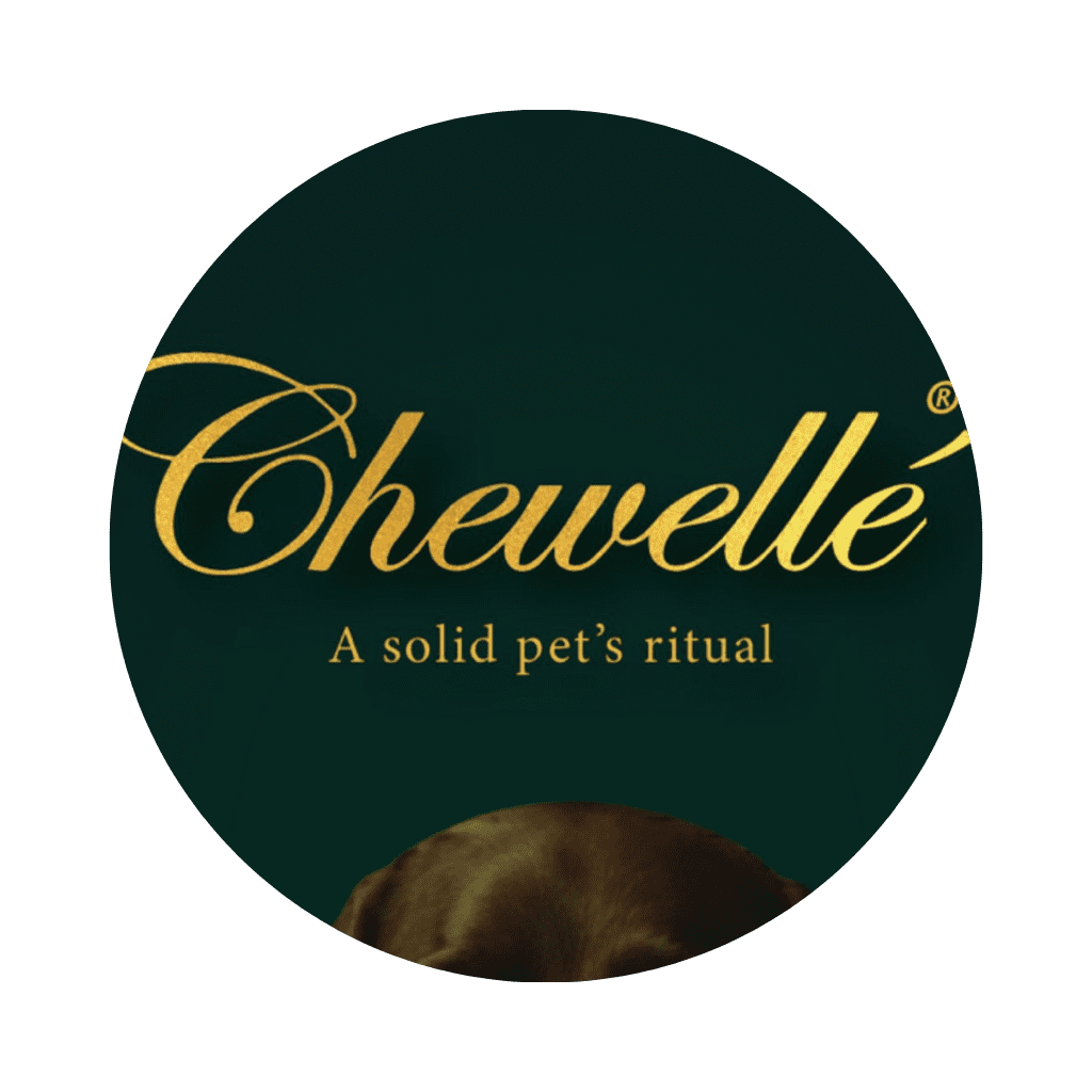 branding social media